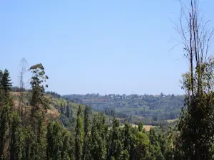 Chocombe Chico "Camping Santa Amelia"