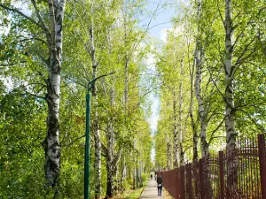 Городской Парк