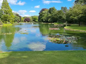 Burnby Hall Gardens