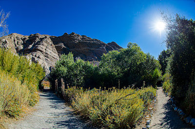 Whitewater Preserve