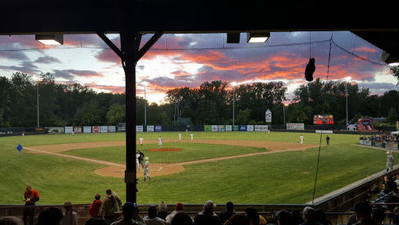 Pittsfield Suns Baseball