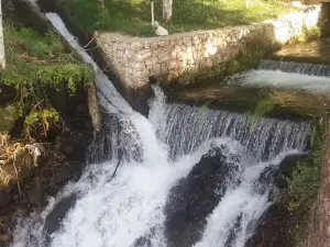 Park