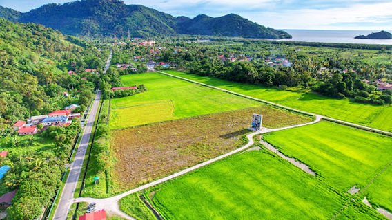 Balik Pulau