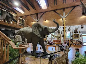 Africké muzeum Safari