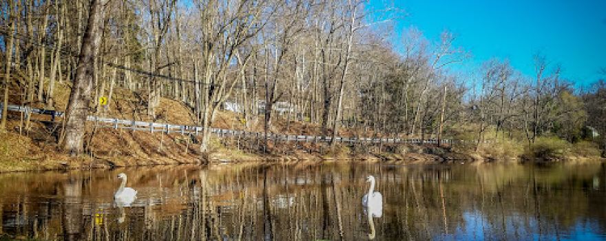 Brandywine Creek Campground