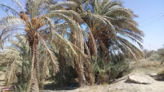 teachers-district park