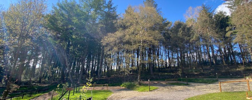 Dearden Wood Campsite
