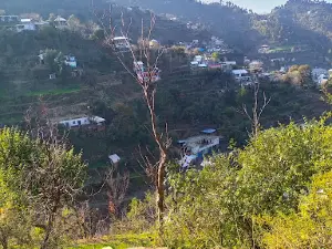 Jamia Masjid Dankol