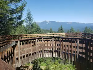 Trinity Lake