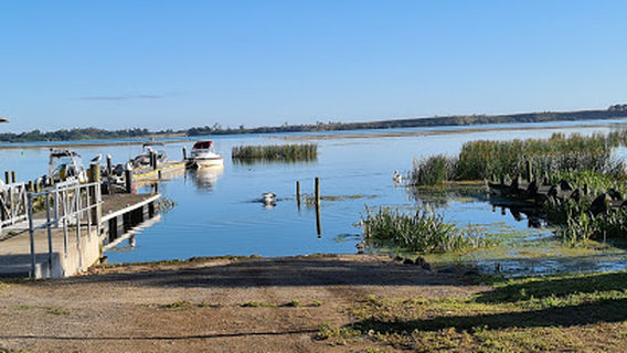 Camperdown