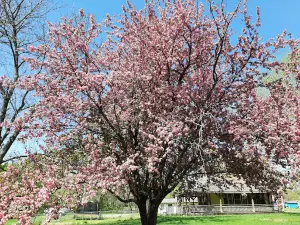 Kanza Park