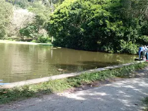 Laguna de Venecia