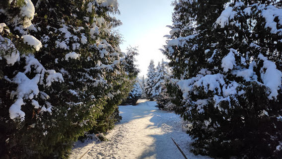 Skver P.l. Proskurina