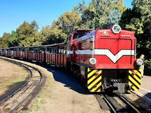 Narrow-Gauge Railway Station Venice