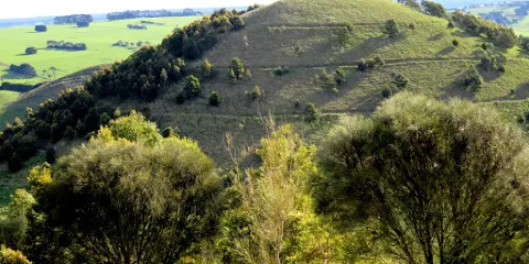 Camperdown Lookout