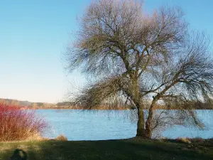 Campingfreunde Silbersee e.V.
