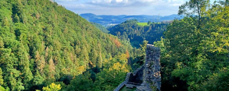 Burgruine Wieladingen