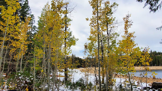 Pinecrest Lake Trailhead