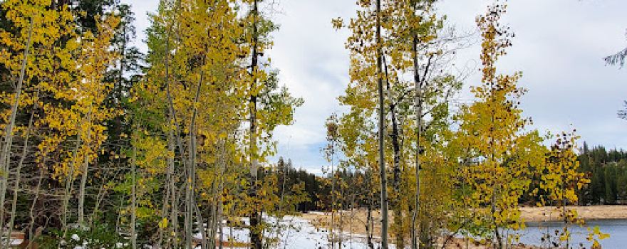 Pinecrest Lake Trailhead