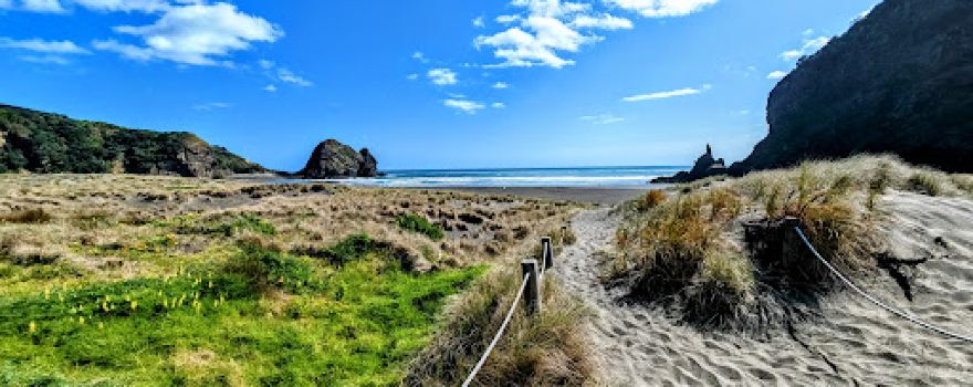 Piha Domain Motor Camp