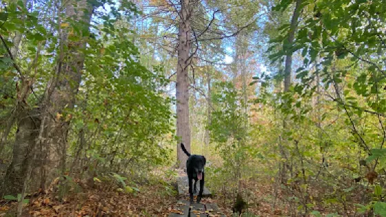 Colman Reservation