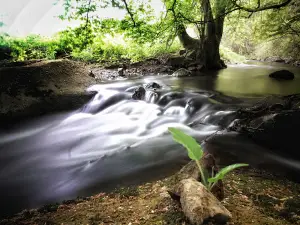 Ahbachtal