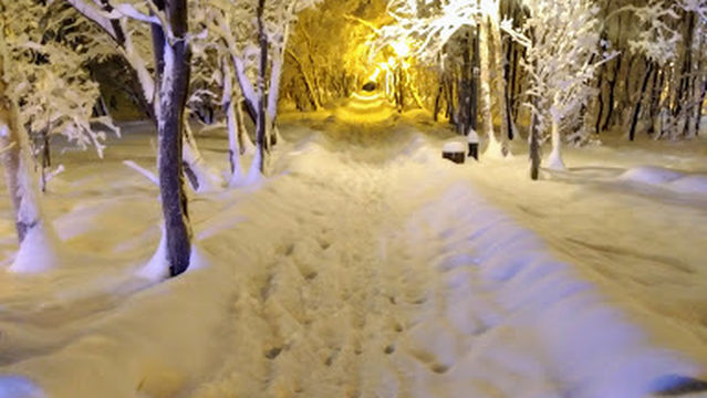 Alleya Pamyati, Pamyatnik Voinam, Pogibshim Pri Ispolnenii Internatsional'nogo Dolga