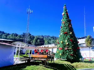 El Porvenir Central Park