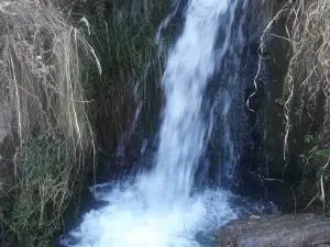 Chilijchi en Pocoata