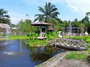 R-Zoo & Park