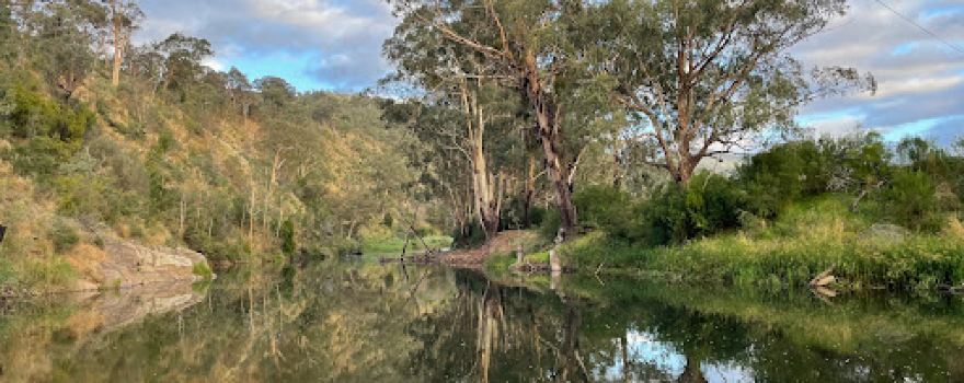 Macalister River Camp Site