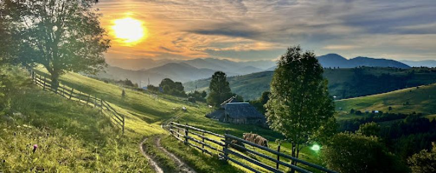 Poiana Cătunenilor