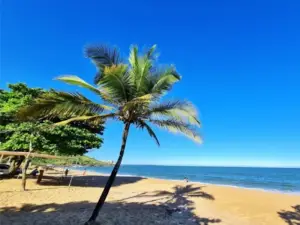 Praia Do Pau Grande
