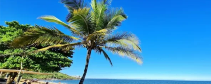 Praia Do Pau Grande