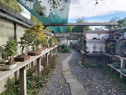 Bonsai Museum Dsseldorf Tickets [2026] - Promos, Prices, Reviews & Opening  Hours | Trip.com