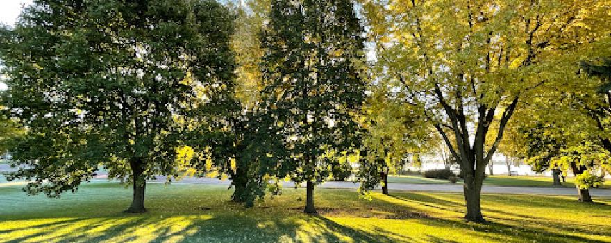 Centennial Park