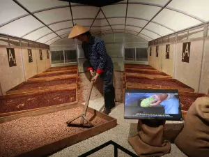 초코 스토리 브뤼셀