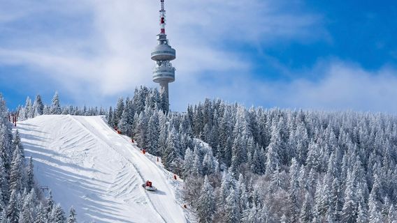 Spree Hub | Ski & Snowboard school
