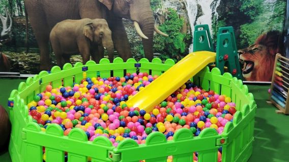 BOMMAI TOY LIBRARY & INDOOR PLAY ZONE