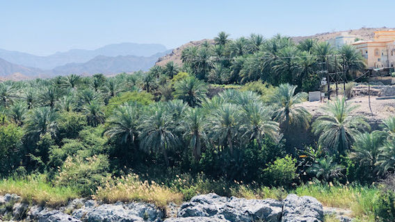 Al-Hoqain Waterfalls