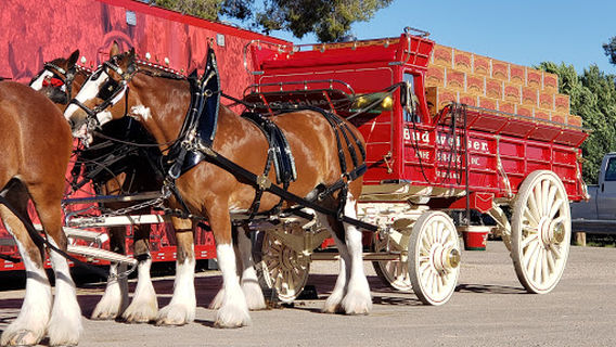 Pima County Fairgrounds