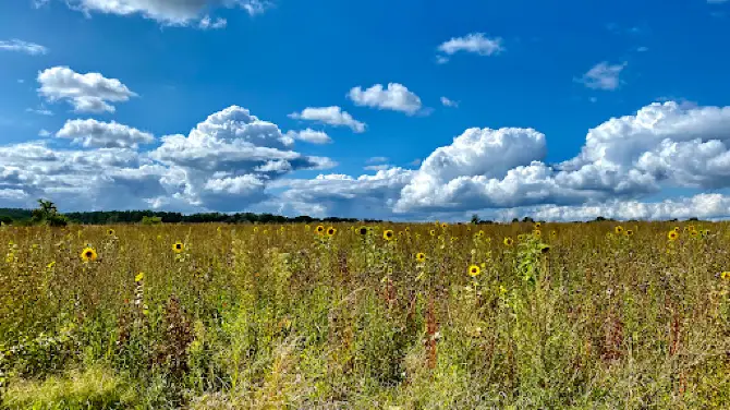 Findlingsgarten Carwitz