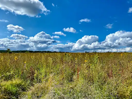 Findlingsgarten Carwitz