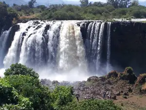 Parc national de Yangudi Rassa