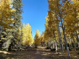 North Rim Campground