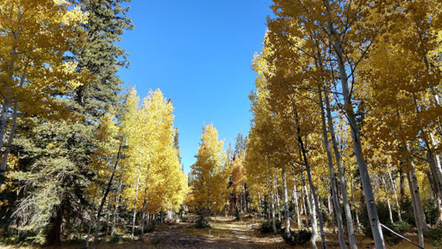 North Rim Campground