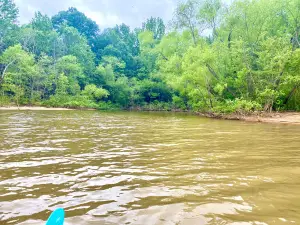 Buffalo Park and Campground