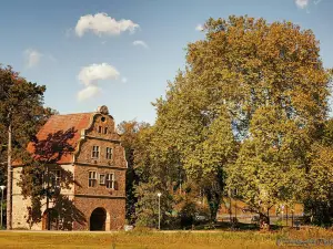 Botanischer Garten Rombergpark