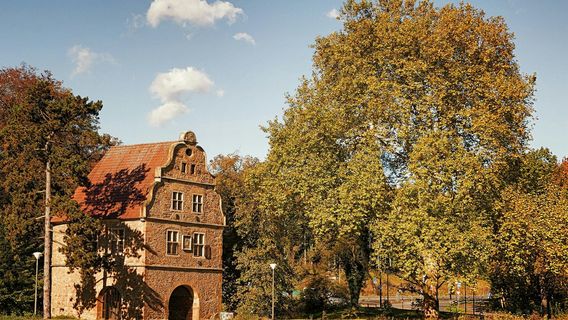 Rombergpark Botanical Garden