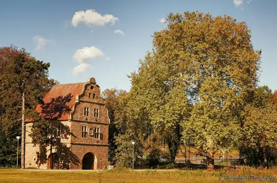 Hotels near Rombergpark Botanical Garden